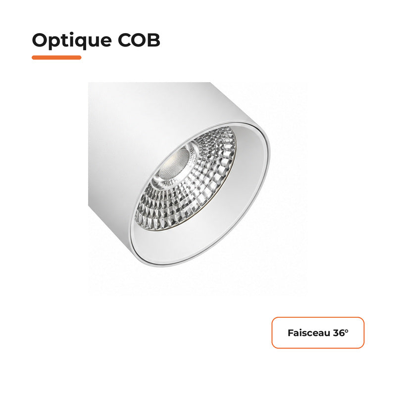 Pack de 10 - Spot LED sur Rail COB Triphasé 10W 36° Blanc - Garantie 5 ans