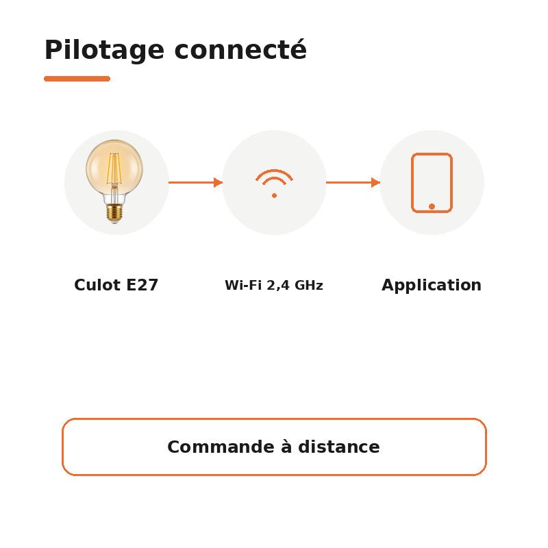 Ampoule LED Filament Connectée Wifi E27 4W Ambrée G95 CCT - 2700K/6500K - Pack de 10 - Silamp France