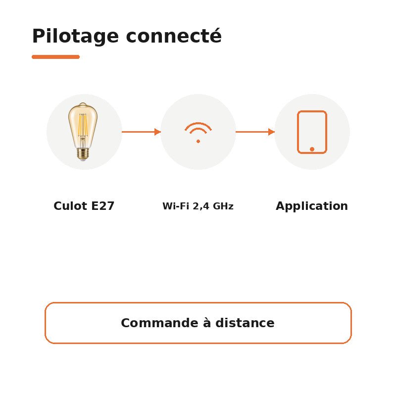 Ampoule LED Filament Connectée Wifi E27 4W Ambrée ST64 CCT - 2700K/6500K - Pack de 10 - Silamp France