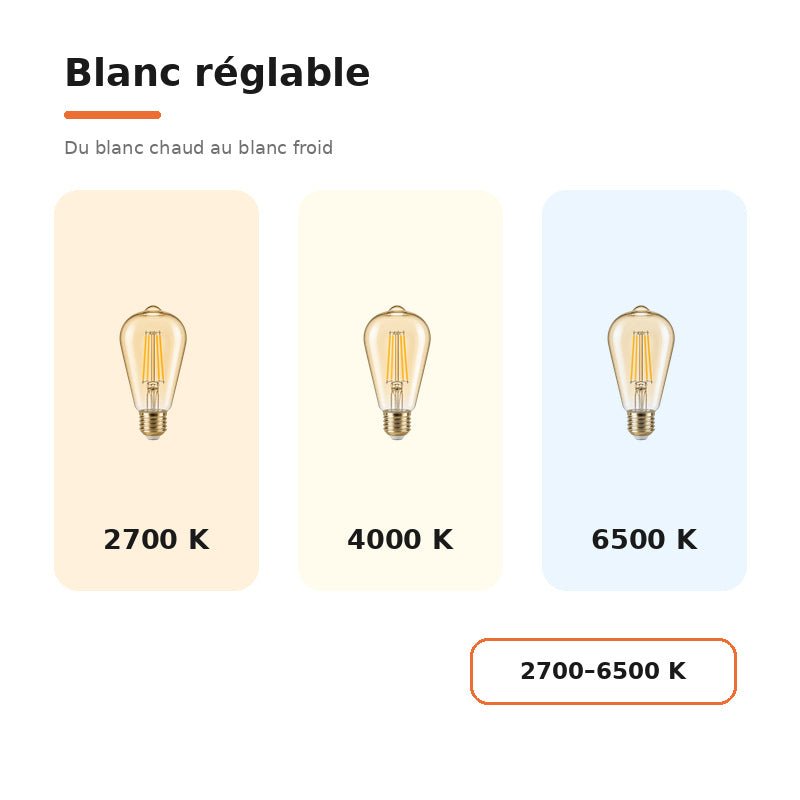 Ampoule LED Filament Connectée Wifi E27 4W Ambrée ST64 CCT - 2700K/6500K - Pack de 10 - Silamp France