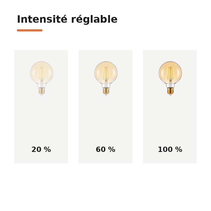 Ampoule LED Filament Dimmable E27 8W Ambrée G95 - Pack de 10 - Silamp France