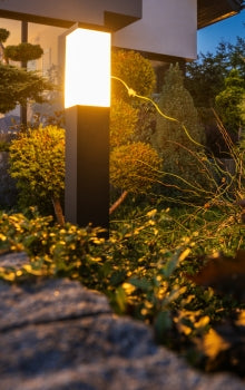 Spot LED solaire Accent - spot de jardin avec piquet de sol