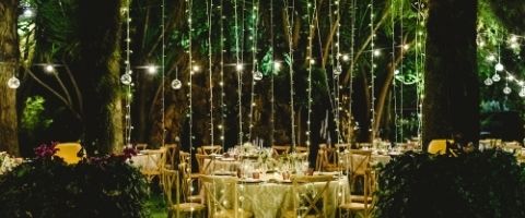 L'intensité lumineuse : le guide