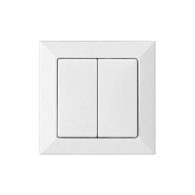 Interrupteur Mural Double Encastré 10A + Plaque de Finition Simple - Blanc mat
