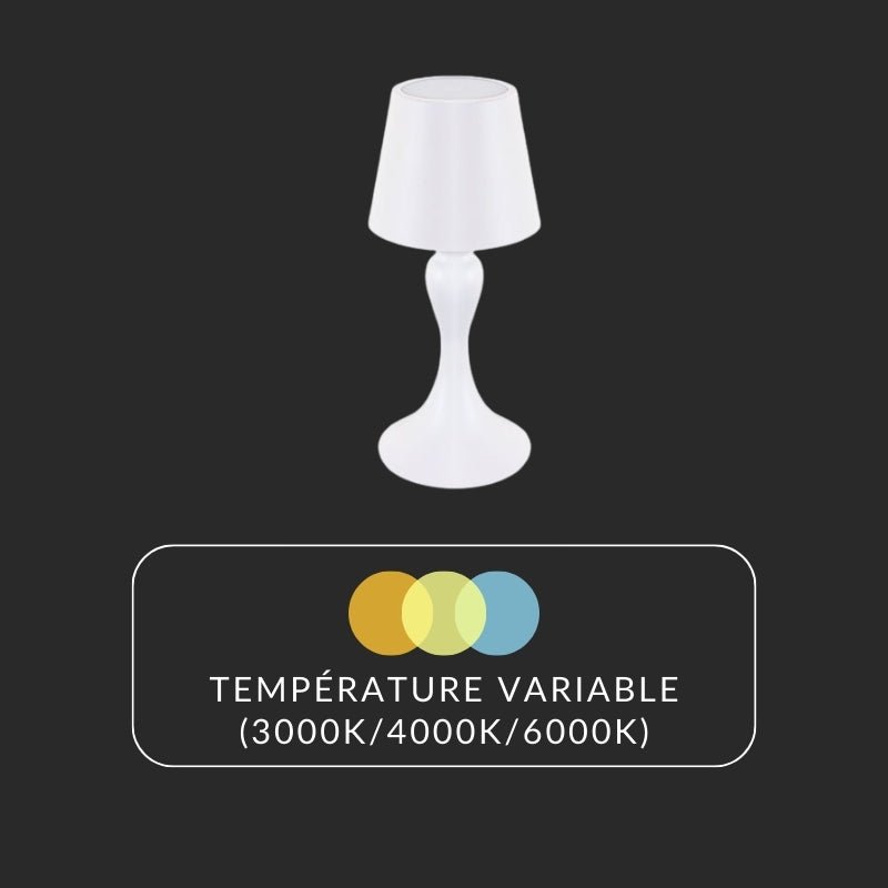 Lampe à Poser LED 2W Blanche CCT et Lumière Variable - 3000K/4000K/6500K - Silamp France