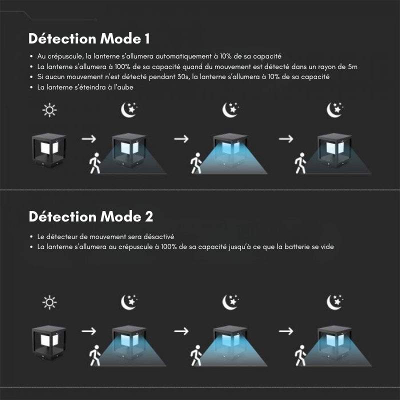 Lanterne Extérieure Solaire Noire 2W IP65 Avec Détecteur de Mouvement - Silamp France