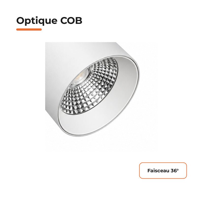 Pack de 10 - Spot LED sur Rail COB Triphasé 30W 36° Blanc - Garantie 5 ans - Silamp France
