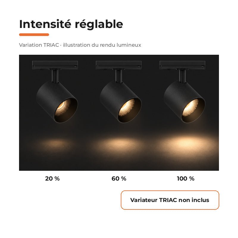 Pack de 10 - Spot LED sur Rail Noir Monophasé 24W 36° TRIAC Dimmable - Silamp France