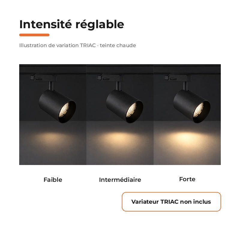 Pack de 10 - Spot LED sur Rail Noir Triphasé 24W 36° TRIAC Dimmable - Silamp France