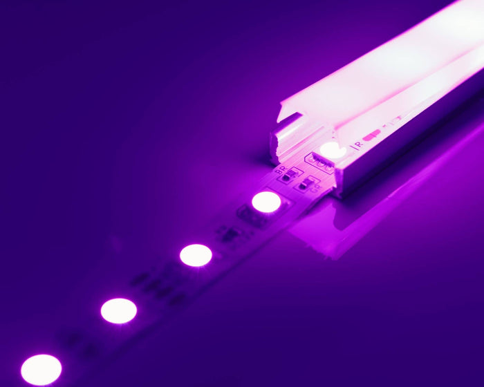 Le lumen : le guide
