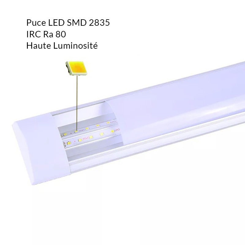Réglette LED 60cm 24W (Pack de 10) - Silamp France