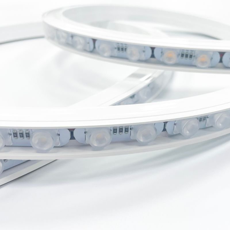 Ruban Lèche - Mur LED Flexible 5M 24V 16W/m IP65 - Silamp France