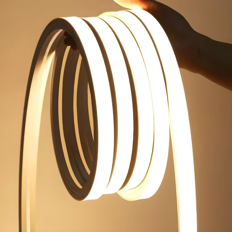 Ruban LED 220V 50M 10x10mm IP65 Finition Continue - Silamp France