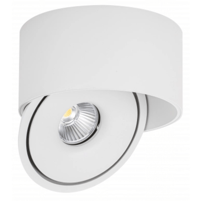Spot LED en Saillie COB 30W Rond ø176mm Orientable CCT Blanc - 3000K/4000K/6000K
