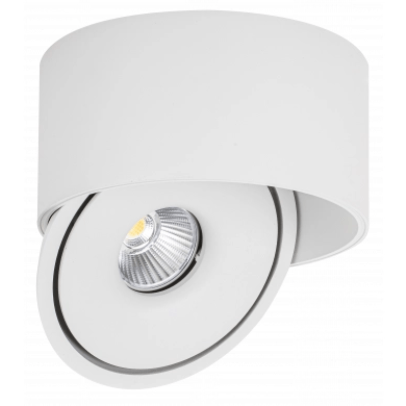 Spot LED en Saillie COB 30W Rond ø176mm Orientable CCT Blanc - 3000K/4000K/6000K - Silamp France