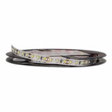 Ruban LED 12V 5M SMD3014 120LED/m IP20
