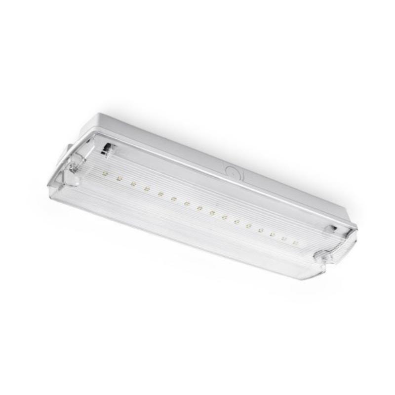Bloc de secours BAES LED Batterie 4 Pictogrammes 4W IP65