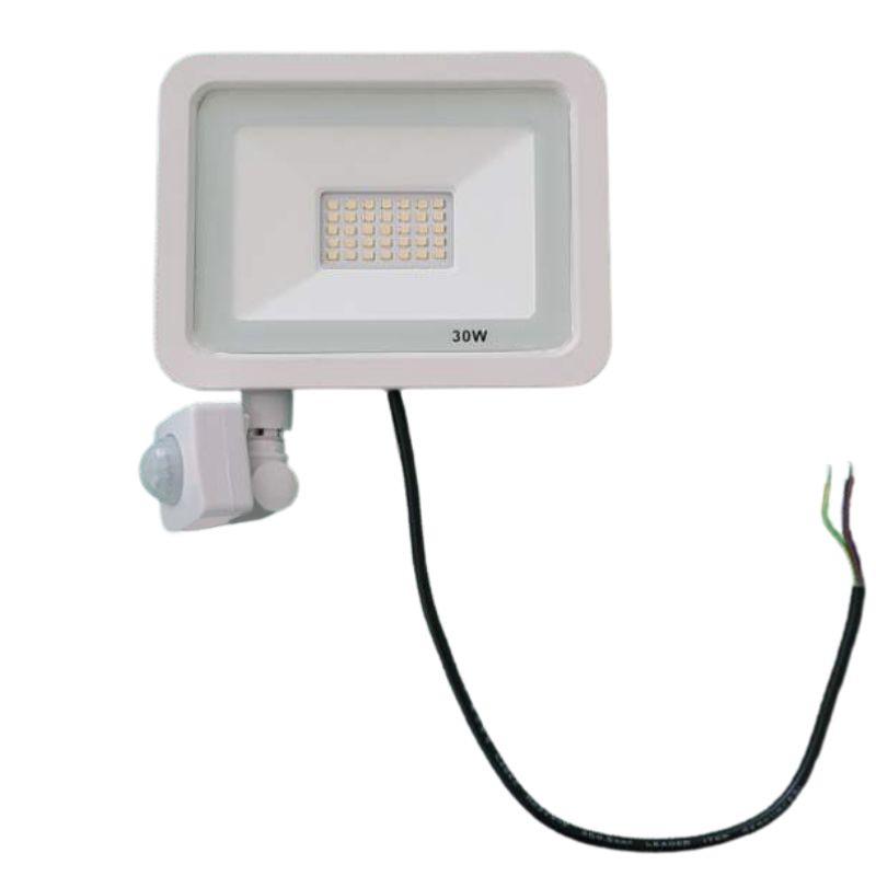 Projecteur LED 30W avec Détecteur de Mouvement Crépusculaire Extra Plat IP65 BLANC
