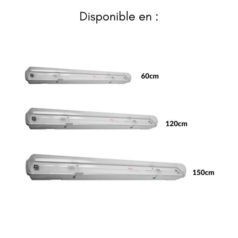 Réglette LED étanche pour Tube LED T8 120cm IP65 (Pack de 12)