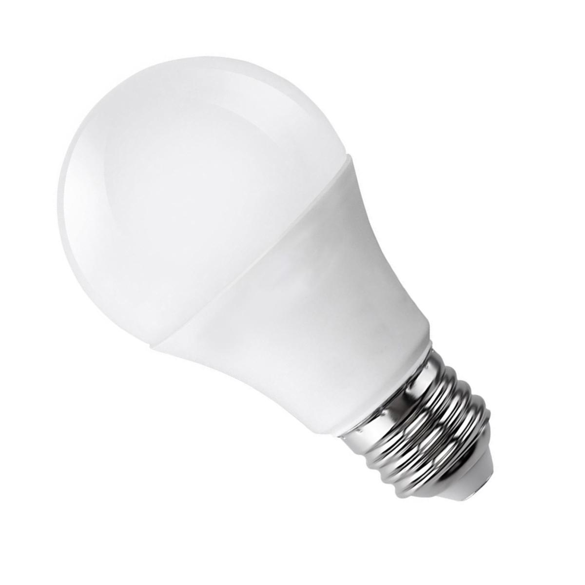 Ampoule LED E27 20W 220V A80 - Silamp France