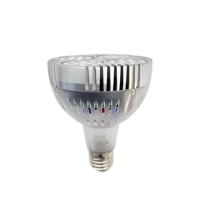 Ampoule LED E27 35W 220V PAR30 24LED 60° Transparente - Silamp France