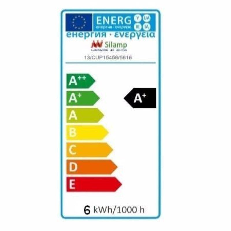 Ampoule LED E27 Filament Dimmable 6W G80 Globe - Silamp France