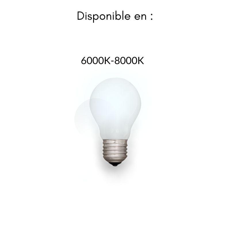 Projecteur chantier LED portatif sur pied - Non dimmable - 6000K - 10W -  Noir