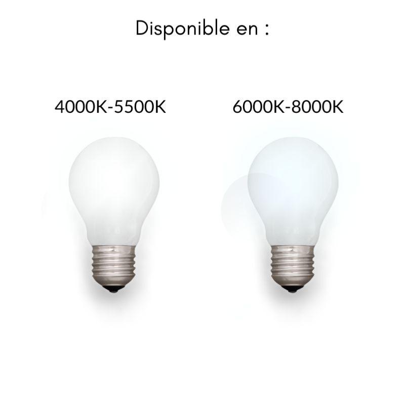 Kit de Réglette LED étanche + Tube Néon LED 60cm T8 10W - Silamp France