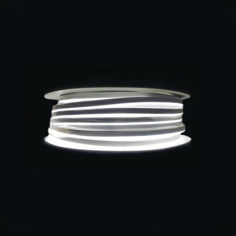 Néon Flexible LED 24V 50M IP65 120LED/m