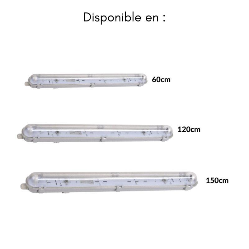 Réglette étanche pour Tube LED T8 60cm IP65 (Boitier vide) (Pack de 10) - Silamp France