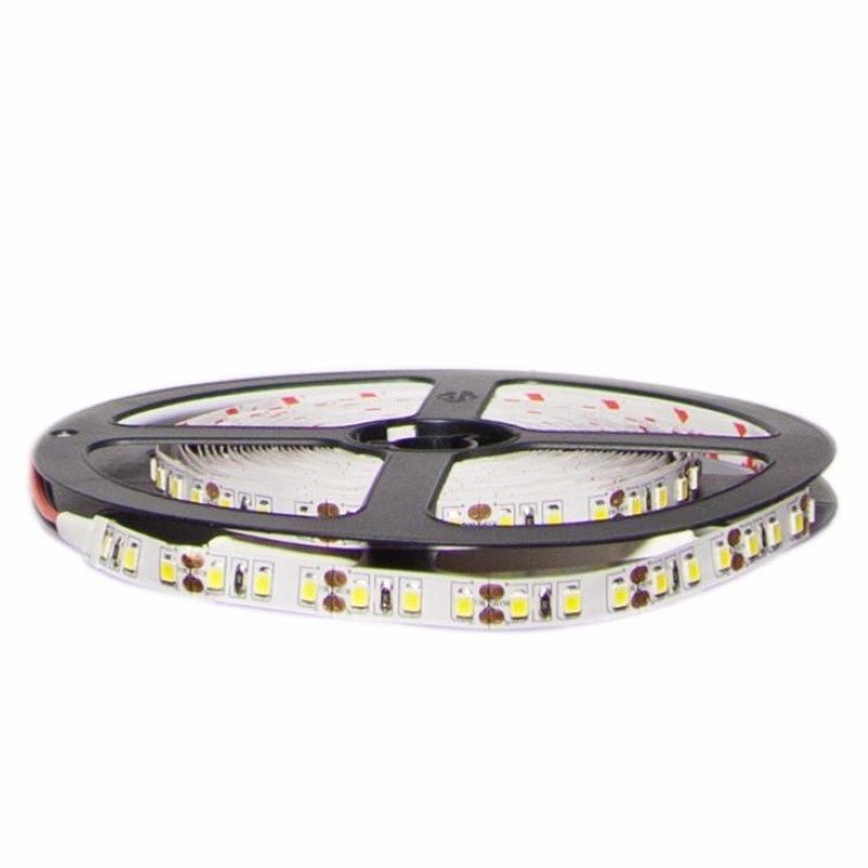 EVELFR Ruban LED, 220V Bande LED SMD 2835 IP65 étanche 120 Leds/m