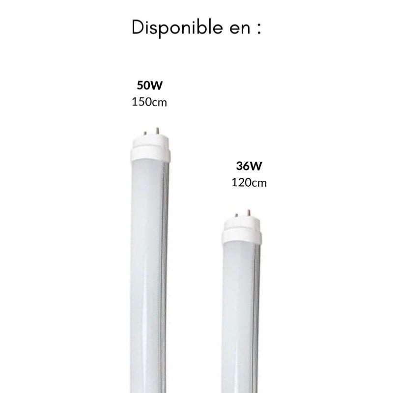 Tube Néon LED 120cm T8 36W (Pack de 10) - Silamp France