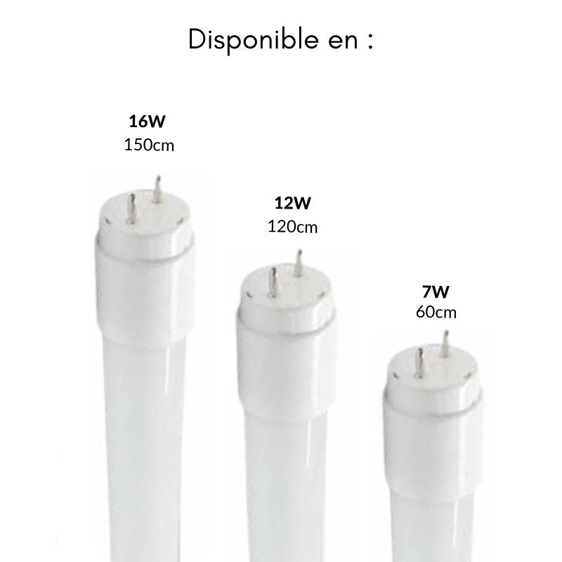 Tube Néon LED T8 120cm 12W Haut Rendement Garantie 5 ans (Pack de 25) - Silamp France