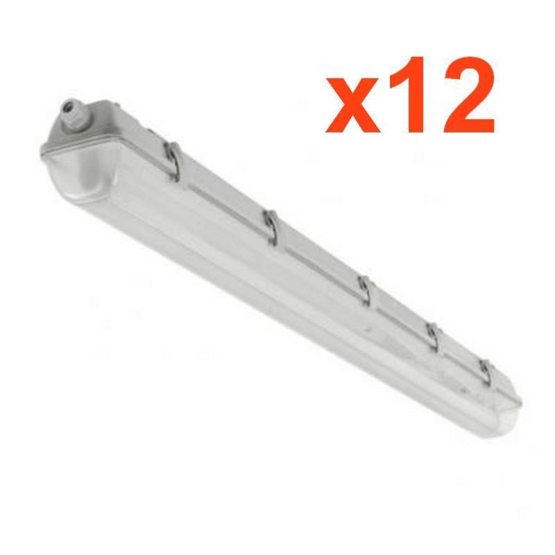 Réglette LED étanche pour Tube LED T8 120cm IP65 (Pack de 12)